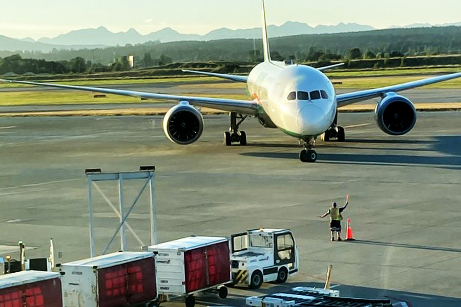 Representational picture of flight