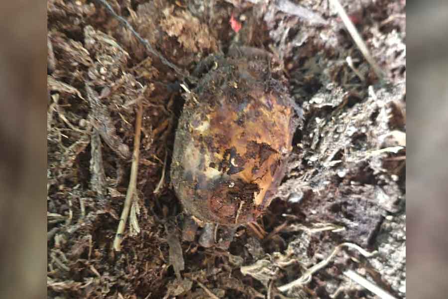 Grenade