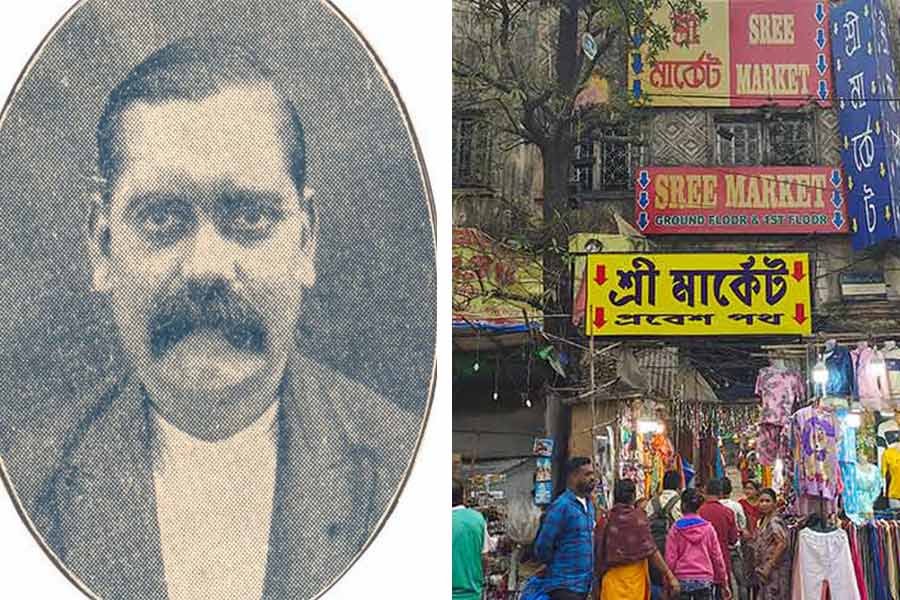 ১৯৩১ সালে ২৫ এপ্রিলে অমর চৌধুরী (বাঁ দিকে) পরিচালিত বাংলা ভাষার প্রথম সবাক চলচ্চিত্র ‘জামাইষষ্ঠী’-র মুক্তি দিয়ে পথচলা শুরু হয় শ্রী-র। তার পর উত্তরার মতোই জনপ্রিয় হয়ে ওঠে এই সিনেমা হল। আবার উত্তরার মতো ৩১ অক্টোবর বন্ধ হয়ে যায় শ্রী। শেষ ছবি ছিল হরনাথ চক্রবর্তী পরিচালিত, প্রসেনজিৎ-ঋতুপর্ণা জুটির ‘আশ্রয়’।এখন এই জায়গার নাম হয়ে গিয়েছে ‘শ্রী মার্কেট’ (ডান দিকে)।