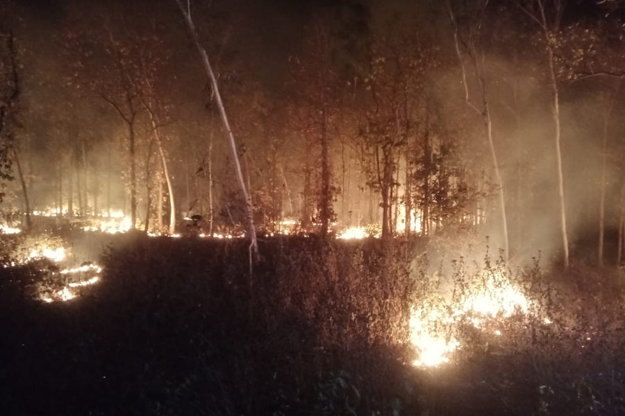 Fire breaks out at the forest of Midnapore