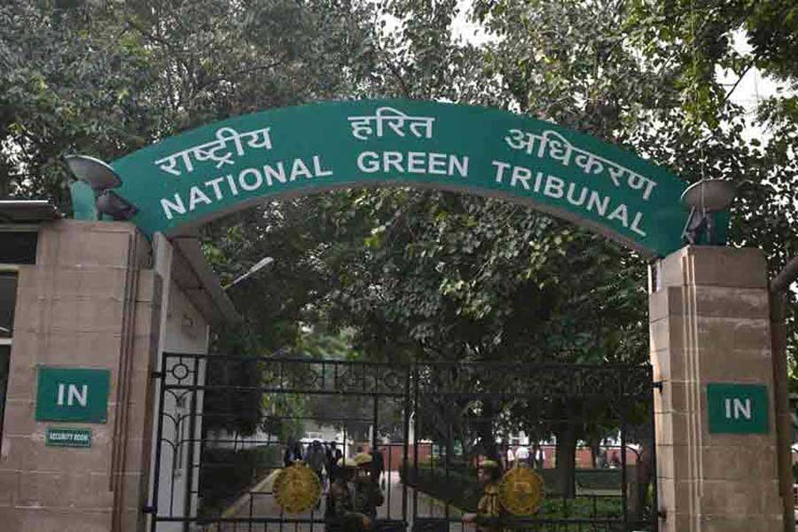 An image of National Green Tribunal