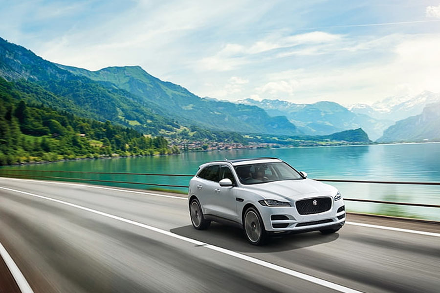 Thousands of bees chased SUV for 2 long days in Wales.