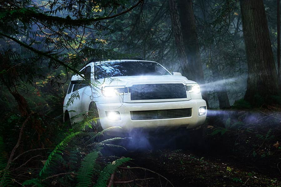 Thousands of bees chased SUV for 2 long days in Wales.