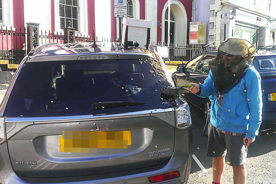 Thousands of bees chased SUV for 2 long days in Wales.