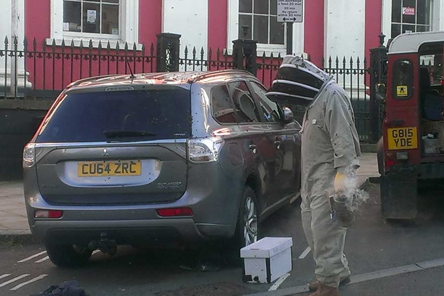 Thousands of bees chased SUV for 2 long days in Wales.