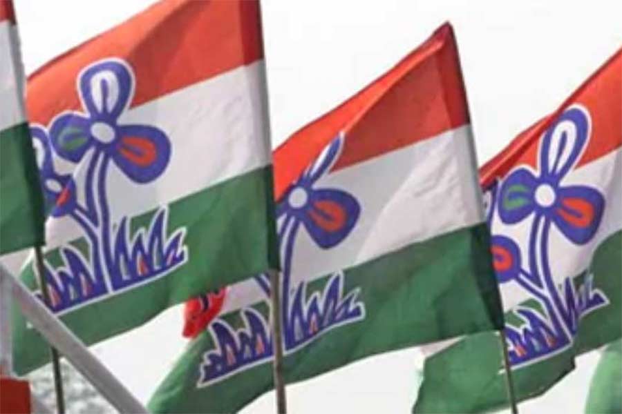 Party flag of TMC