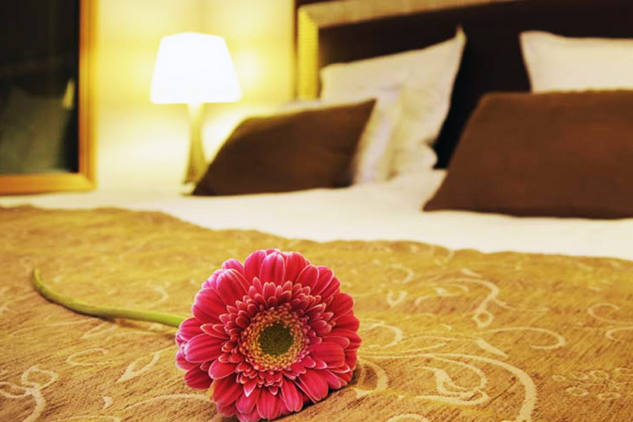 Lion attacks couple while having sex and kills the girl in Zimbabwe.