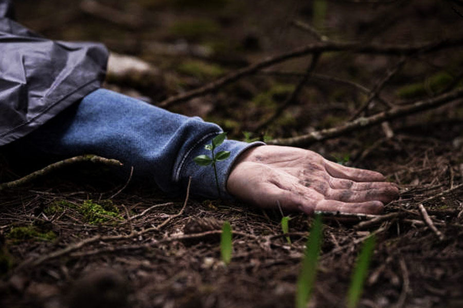 Lion attacks couple while having sex and kills the girl in Zimbabwe.