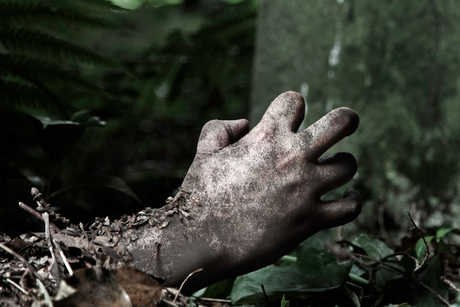 Lion attacks couple while having sex and kills the girl in Zimbabwe.