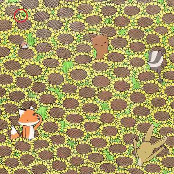 answer of optical illusion