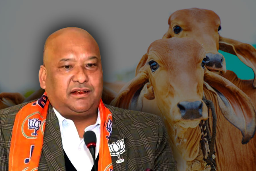 Meghalaya BJP chief Ernest Mawrie says, I eat beef, party has no issues with it