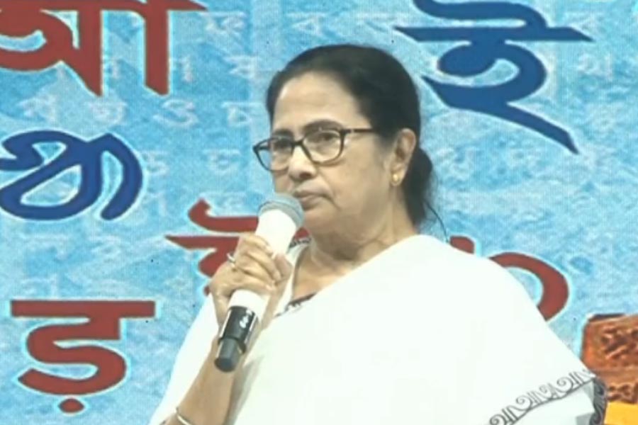 picture of Mamata Banerjee