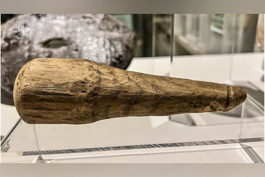 গবেষকরা এও বলছেন যে, এই কাঠের বস্তুটি রূপচর্চা কিংবা ওষুধ প্রস্তুত করার কাজেও লাগানো হতে পারে। 