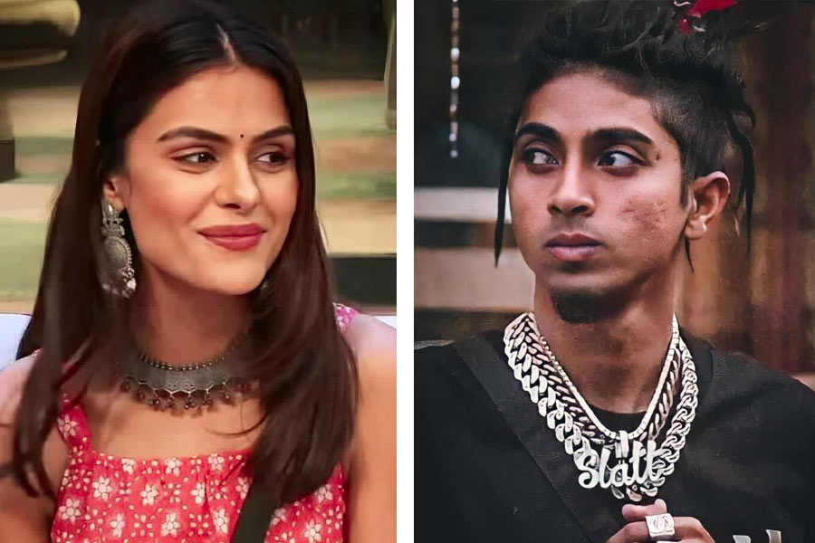 Bigg Boss 16 star Priyanka Chahar Choudhary reacts to claims of MC Stan flirting with her; proves she is a dignified woman