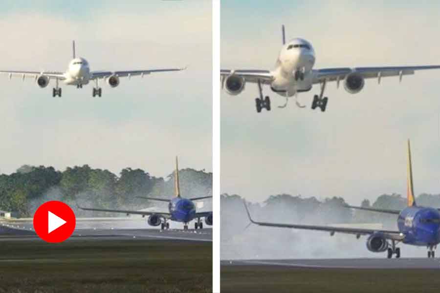 Collision of plane