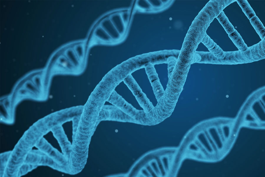 ভার্মন্টের পুলিশ জানিয়েছে , তারা সিগারেটের পোড়া অংশ এবং কুরানের পোশাকে পাওয়া ডিএনএ ব্যবহার করে হত্যাকারীকে শনাক্ত করেছে।