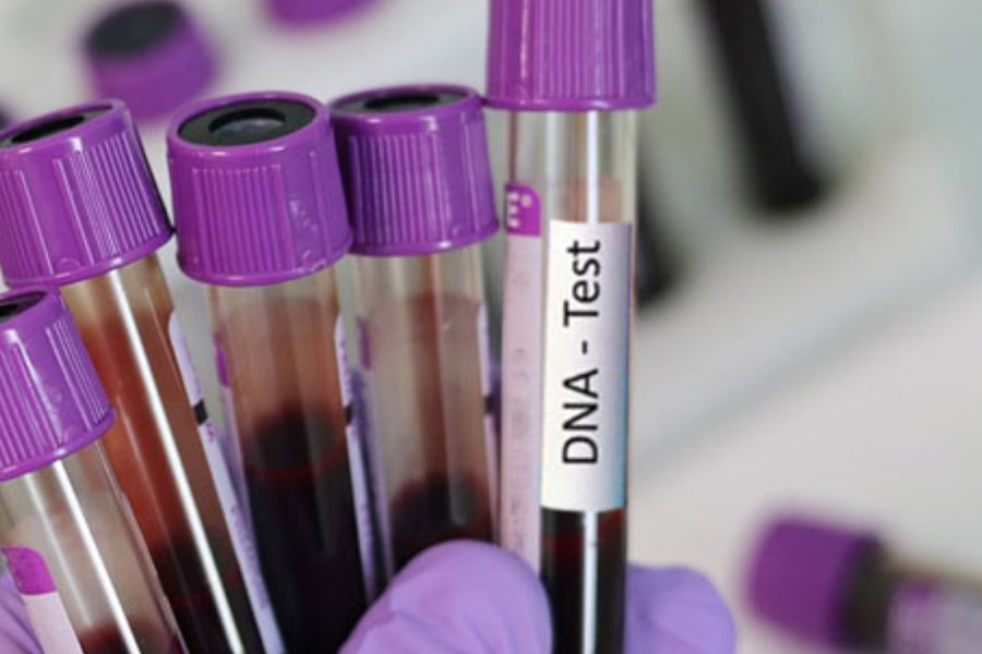 দলটি সমস্ত তথ্যপ্রমাণ আবার পরীক্ষা করে দেখতে শুরু করে। সিদ্ধান্ত নেওয়া হয় যে ‘জেনেটিক জিনিওলজি’ পদ্ধতি ব্যবহার করে সিগারেটের টুকরোয় লেগে থাকা ডিএনএ বিশ্লেষণ করা হবে। বিশ্লেষণ করে দেখা হবে রিটার পোশাকের টুকরোতে লেগে থাকা ডিএনএ-ও।