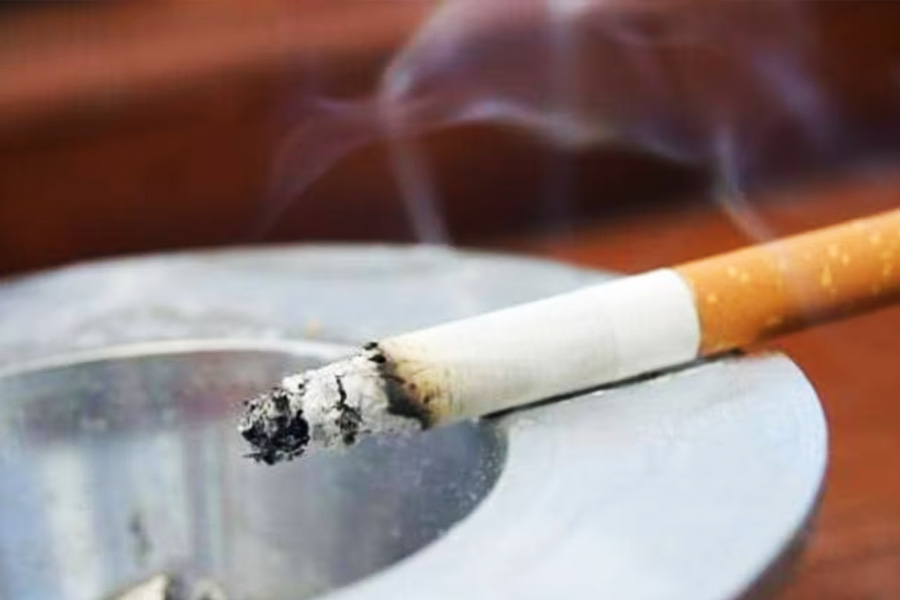 ‘জেনেটিক জিনিওলজি’ পদ্ধতি ব্যবহার করে এক জন ব্যক্তির জিনের সঙ্গে অন্য কার জিনের মিল রয়েছে তা খুঁজে বার করা সম্ভব। সন্দেহের তালিকায় থাকা সকলের পরিবার-আত্মীয়দের জিন এবং ডিএনএ-র সঙ্গে সিগারেটের টুকরো এবং পোশাকে থাকা ডিএনএ মিলিয়ে দেখা শুরু হয়।