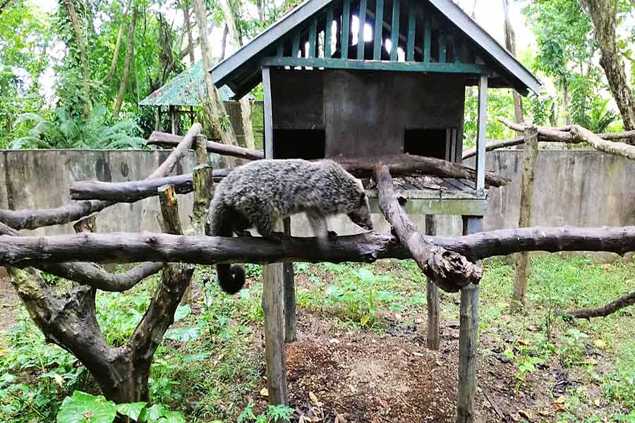 Travel blog of Manila and Philippines 