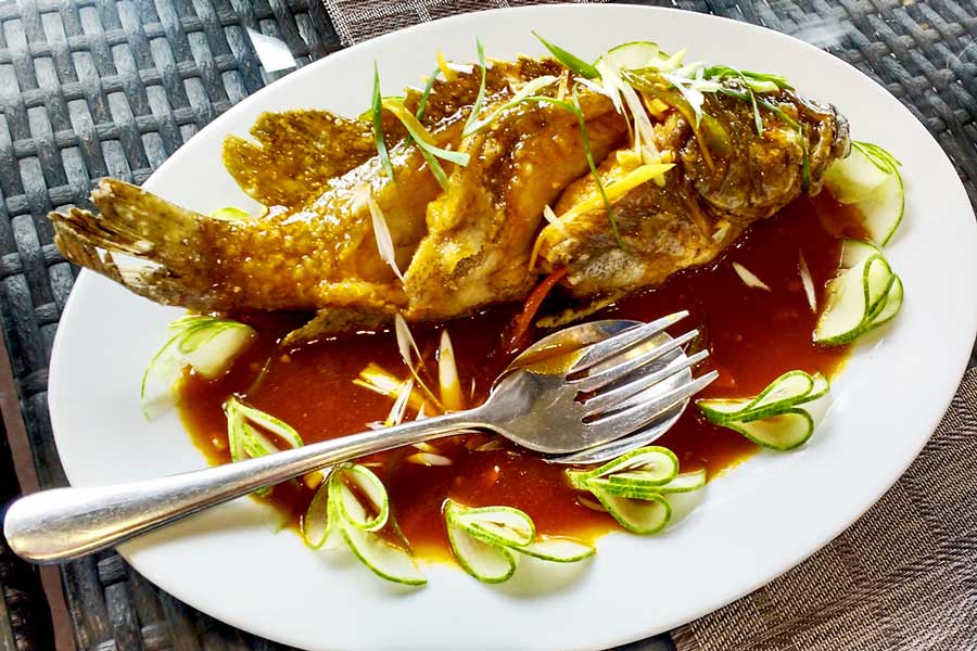 Travel blog of Manila and Philippines 