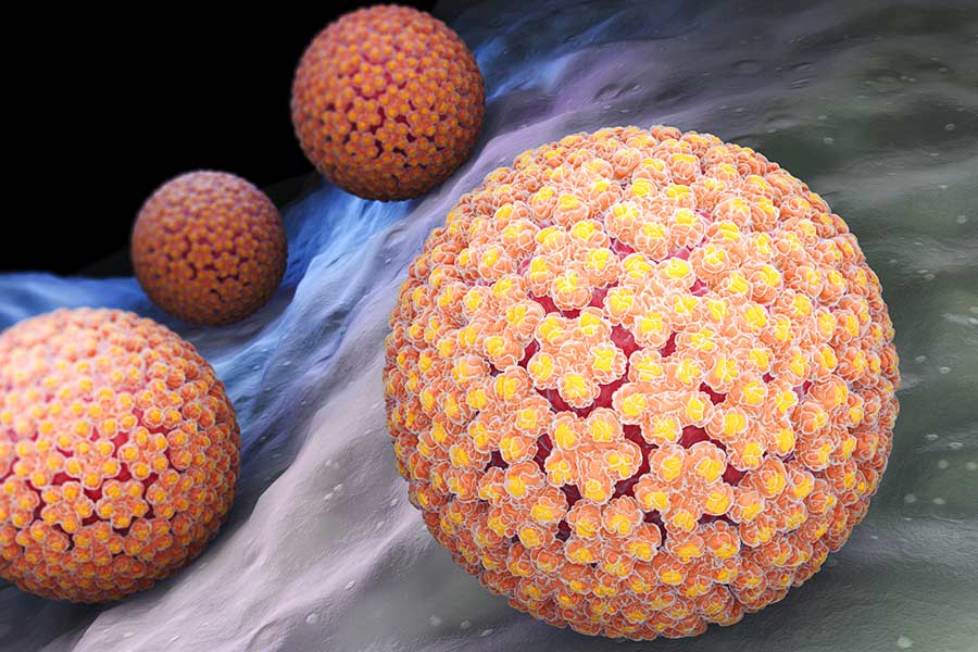 Causes, Symptoms, and Diagnosis of the disease Genital Herpes