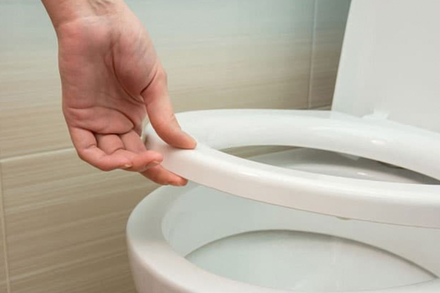 image of Toilet Seat