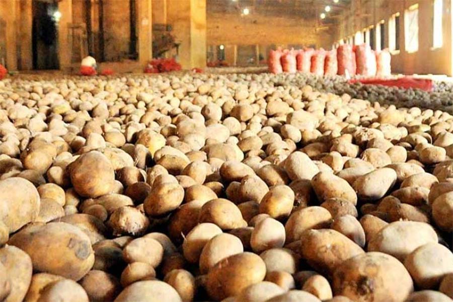 picture of potatoes in cold storage.