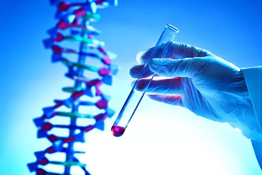 DNA reveals Famous French horn player was involved in gruesome sexual crime.