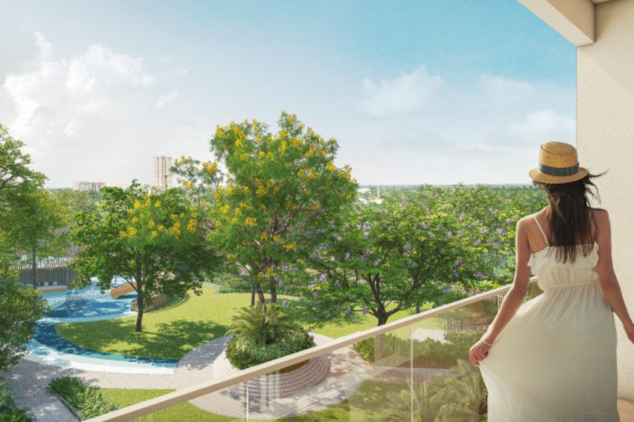 যেদিকে তাকাই, সেদিকেই সবুজ 