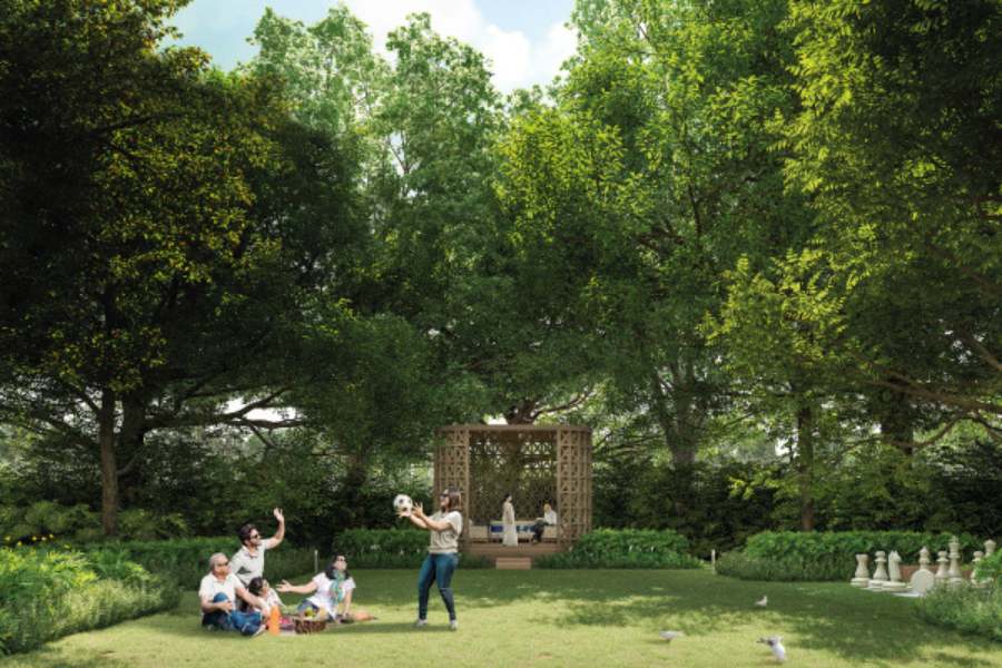 ফরেস্ট জোন 