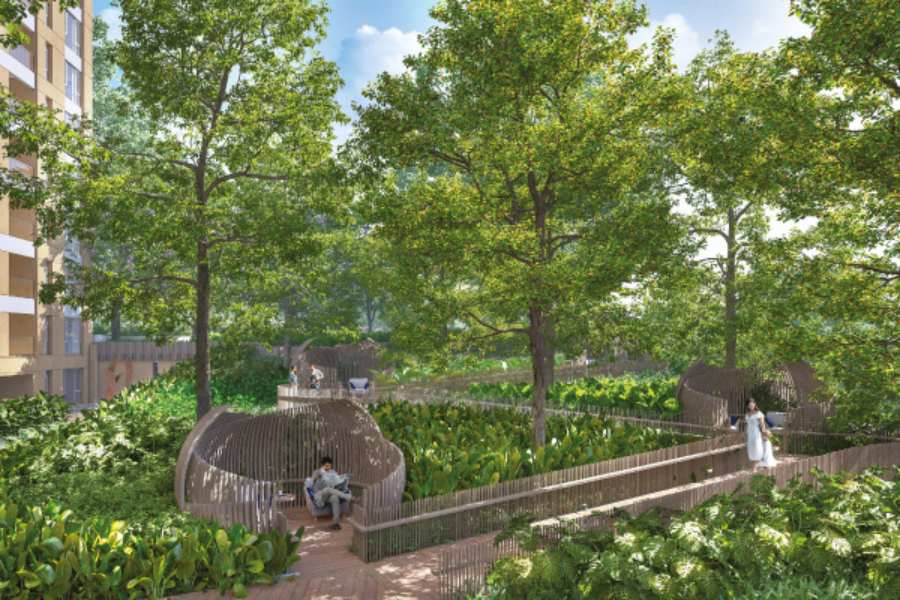 দ্য ওয়াইন্ডিং ফরেস্ট ওয়াক 