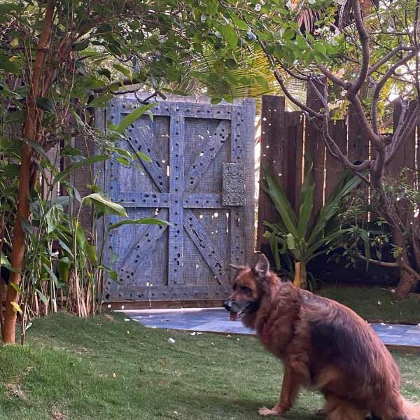 photo of Akshay Kumar's house