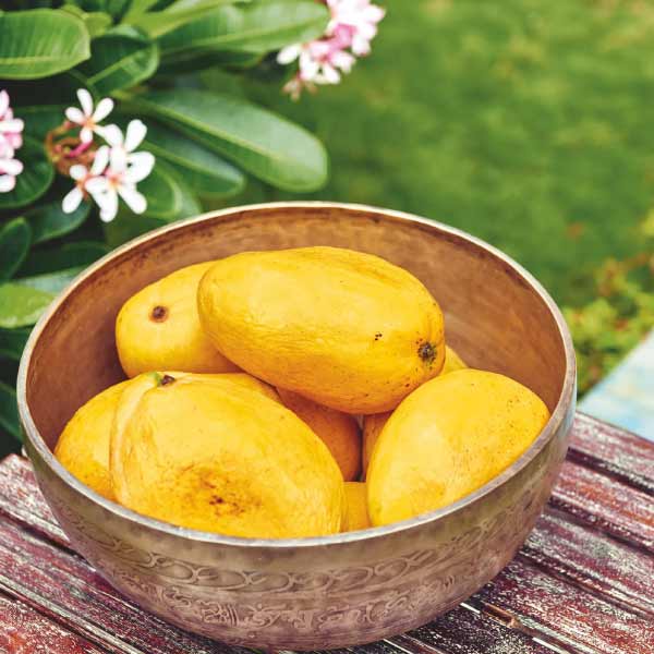 photo of Akshay Kumar's house