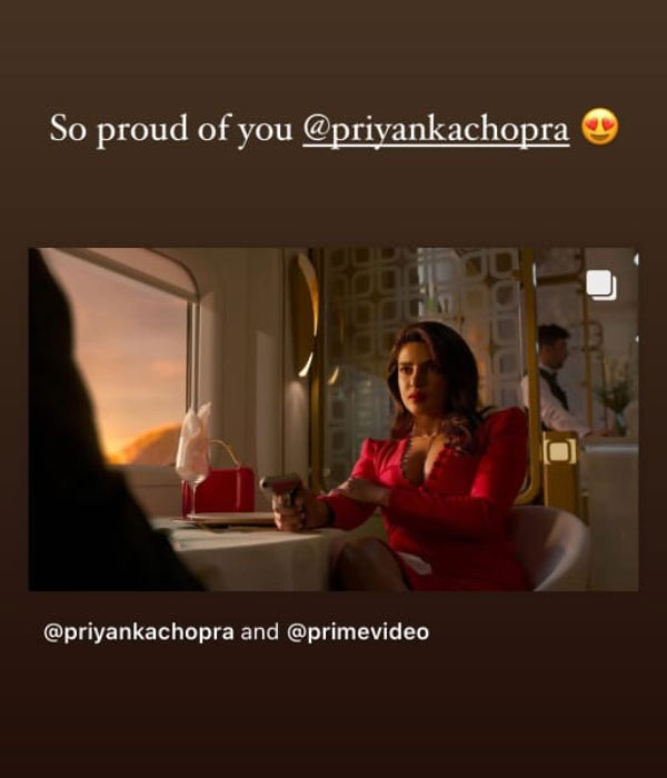 screenshot from a story posted by Nick Jonas.