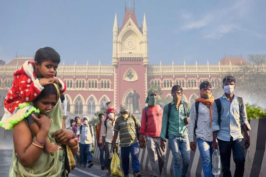 A PIL Seeking the number of Migrant workers was filed in Calcutta High court.