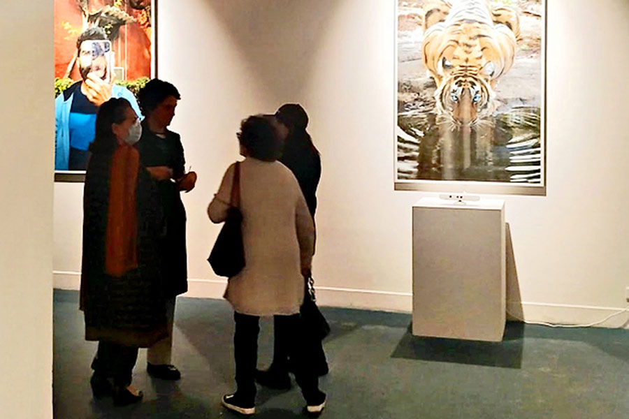 চিত্র-চাল: রেহান বঢরার ছবি প্রদর্শনী