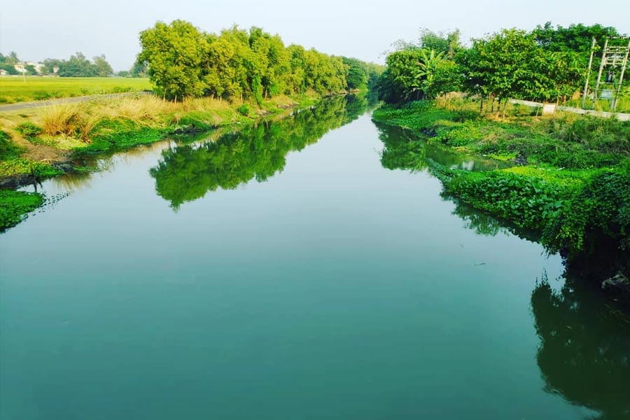 কলকাতা থেকে সড়কপথে নিজস্ব গাড়িতে সরাসারি পৌঁছে যাওয়াই যায় ভাল্কিমাচানে।