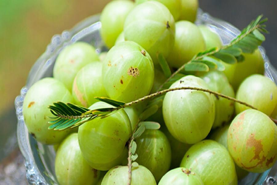 চুলের রং ফেরাতে আমলকি উপকারী।