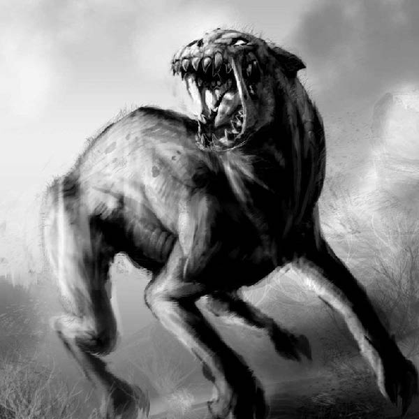 এক দশকেরও বেশি সময় পার হয়ে গিয়েছে। কিন্তু এখনও মন্টকের সমুদ্রসৈকতে উদ্ধার হওয়া ওই ভয়ঙ্কর দেখতে জন্তুটিকে ঘিরে রহস্যের কিনারা হয়নি। সবটাই ধোঁয়াশার চাদরে ঢাকা পড়ে গিয়েছে।