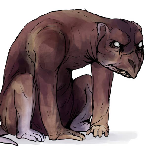  ২০০৮ সালের অগস্টের শুরুর দিকে আমেরিকার সংবাদপত্র ‘নিউজডে’তে এক অজ্ঞাতপরিচয় প্রত্যক্ষদর্শী দাবি করেন যে, তিনি নাকি শুনেছেন, সৈকত থেকে জন্তুটির দেহ কোনও এক অজ্ঞাত জায়গায় নিয়ে যাওয়া হয়েছে। তিনি বলেছিলেন, ‘‘দেহটিতে পচন ধরে গিয়েছে। শুধুই হাড়গোড় রয়েছে।’’