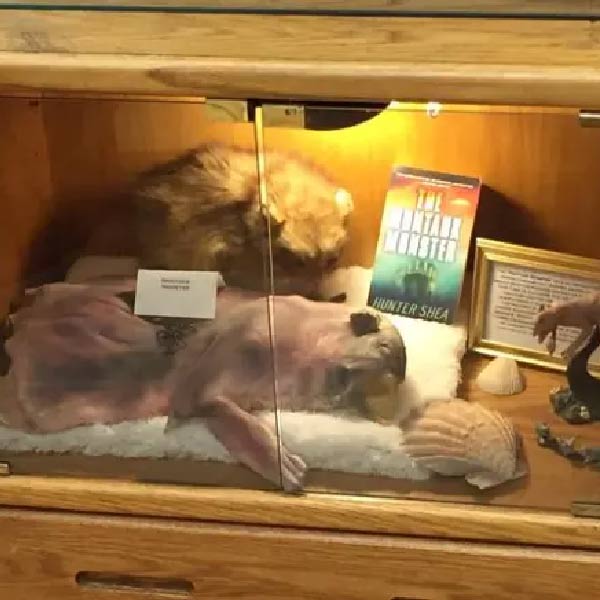 এই জন্তুটি সম্পর্কে তথ্য সংগ্রহ করেছিলেন পোর্টল্যান্ডের ক্রিপ্টোজুয়োলজিস্ট লরেন কোলেম্যান। তিনিই এর নাম রেখেছিলেন ‘মন্টক মনস্টার’। খুব স্বাভাবিক ভাবেই প্রথমে কৌতূহলী ছিলেন তিনি। সে কারণেই জন্তুটি নিয়ে খবরাখবর নিতে শুরু করেন।