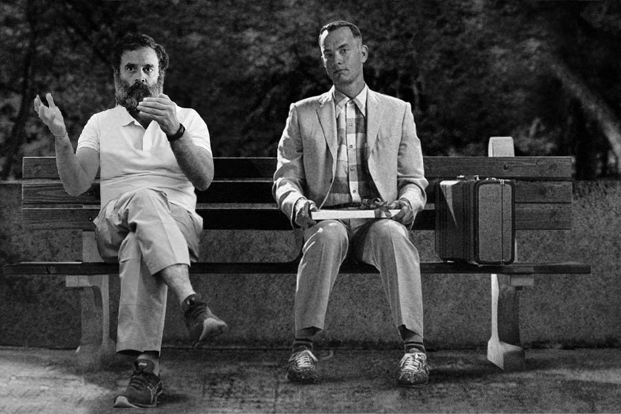 ‘ফরেস্ট গাম্প’-এর কেন্দ্রীয় চরিত্রের সঙ্গে এই রাহুল গান্ধীর অদ্ভুত মিল। ভাবনা সৌজন্য: ২৮তম কলকাতা আন্তর্জাতিক চলচ্চিত্র উৎসব।