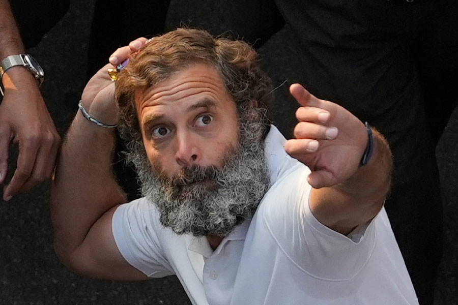 ছ’মাসের যাত্রার শেষে ভারতীয় রাজনীতির ‘ফরেস্ট গাম্প’ কি নতুন ভবিষ্যৎ তৈরি করতে পারবেন? ছবি: পিটিআই।