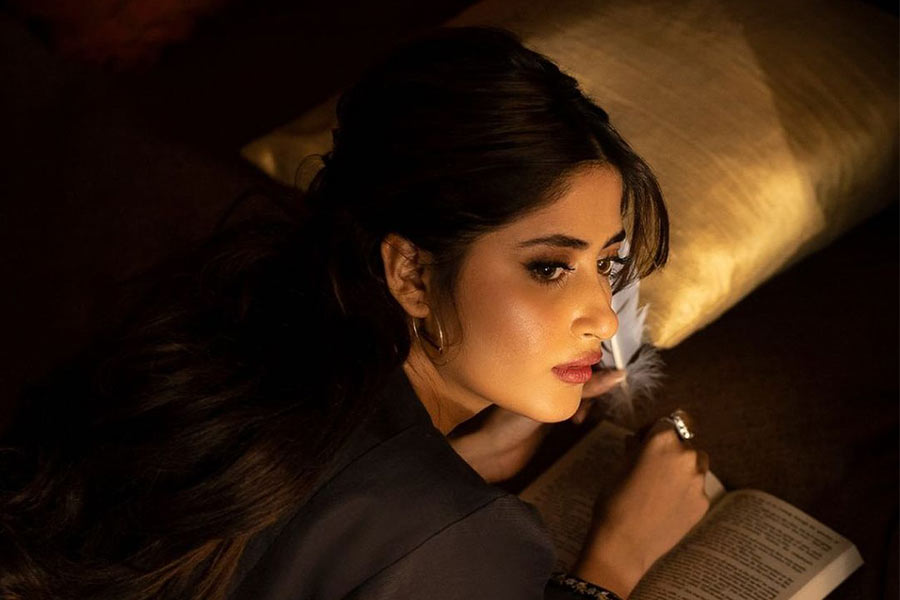 রাজা দাবি করেন, ওই কাজ হয়েছে প্রাক্তন সেনা প্রধান কামর জাভেদ বাজওয়ার আমলে। তিনিই অভিনেত্রীদের ‘টোপ’ হিসাবে ব্যবহার করেছেন। সঙ্গে ছিলেন পাক গুপ্তচর সংস্থা আইএসআইয়ের প্রাক্তন প্রধান ফৈজ হামিদ। মূলত রাজনীতিকদের কাছ থেকে তথ্য আদায়ের জন্যই অভিনেত্রীদের ব্যবহার করা হয়েছিল বলে অভিযোগ রাজার।