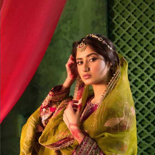 ২০২০ সালে বিয়ে হয়েছে সজলের। দীর্ঘ দিনের প্রেমিক আহাদ রাজা মিরের সঙ্গে। ভারতীয় সিনেমা ‘মম’-এ অভিনয় করেছিলেন সজল। শ্রীদেবীর বিপরীতে। 