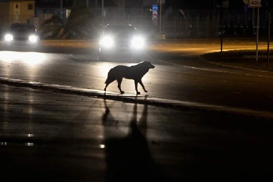 অনেকের অনুমান, এই ‘হেলহাউন্ড’ই নরকের দ্বার থেকে উঠে আসে এ৯৩ সড়কপথে। এই ঘটনার সঙ্গে এলাকার ইতিহাসেরও যোগ রয়েছে বলে দাবি করেন অনেকে। প্রায় ৪০০ বছরেরও আগে হেলহাউন্ডের আবির্ভাব হয় এই এলাকায়। তার পর থেকে নাকি মাঝেমধ্যেই কুকুরটির দেখা মেলে।