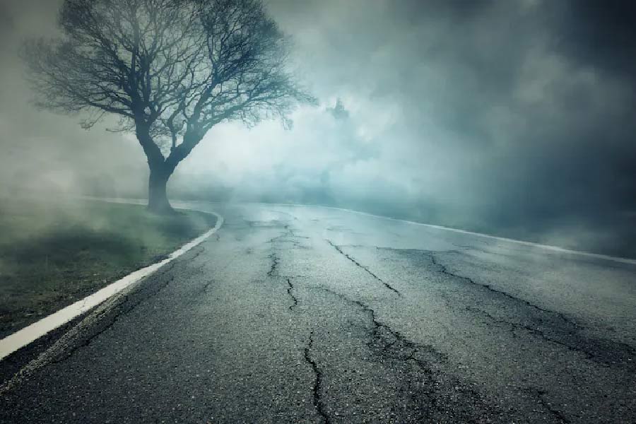 তবে এই ঘটনা আদৌ সত্যি কি না, তা নিয়ে প্রশ্নও তুলেছেন অনেকেই। কেউ কেউ গুজব বলে ঘটনাটি উড়িয়ে দিয়েছেন। কেউ আবার দাবি করেছেন যে, এই বিষয়টি সম্পূর্ণ মনগড়া। অন্ধবিশ্বাসের সুযোগ নিয়ে লোকজনকে এ ভাবে ভয় দেখানো হচ্ছে। তবুও ‘হেলহাউন্ড’-এর ভয় যেন মানুষের মনের মধ্যে গেঁথে গিয়েছে।