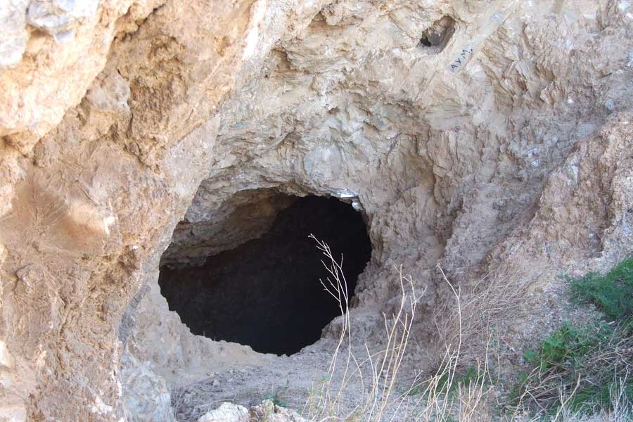 তার কিছু দিনের মধ্যেই ওই কুকুরটিকে নাকি গহ্বরের ভিতর দেখতে পেয়েছিলেন মেল। তবে মৃত নয়, কুকুরটি ছিল জীবিত।