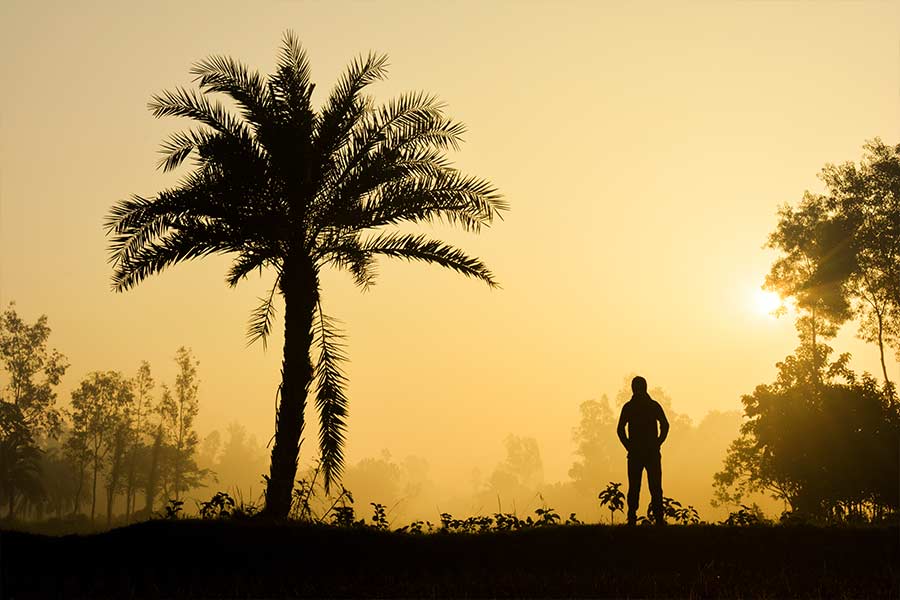 বীরভূমের শ্রীনিকেতনে বরাবরই হাড়হিম করা ঠান্ডা অনুভূত হয়। শুক্রবার শ্রীনিকেতনে সর্বনিম্ন তাপমাত্রা নেমেছে ৭.৮ ডিগ্রি সেলসিয়াসে। 