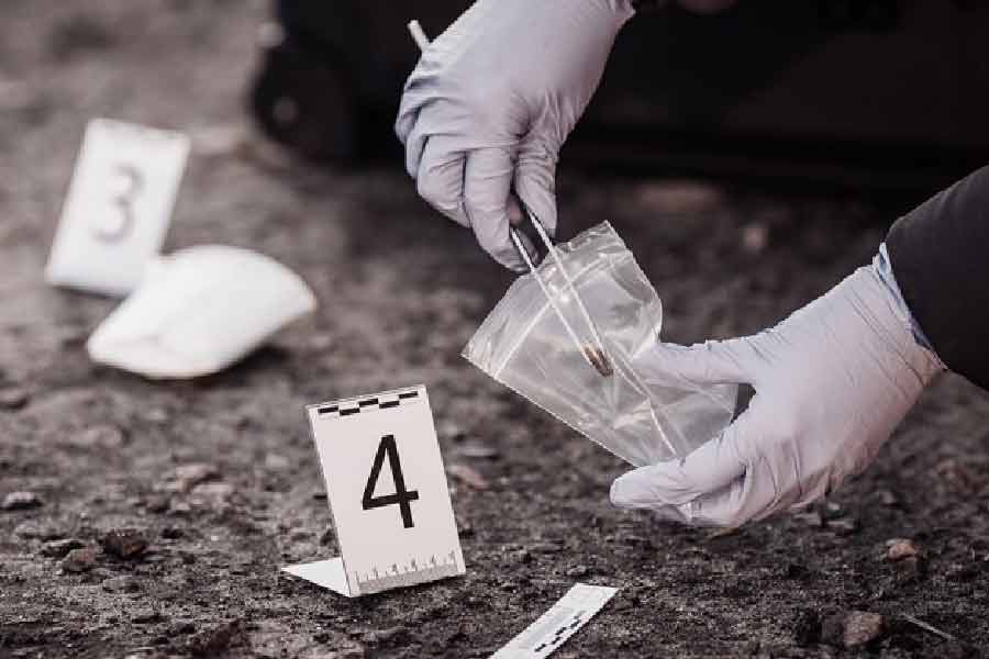 নয়নার মৃত্যুর রহস্যের কিনারা করতে বিশেষ দল তৈরি করেছে ক্রাইম ব্রাঞ্চ। তিরুঅনন্তপুরমের পুলিশ কমিশনার সিএইচ নাগরাজু জানিয়েছেন, সমস্ত দিক খতিয়ে দেখা হবে। সত্যিই কি খুন করা হয়েছিল নয়নাকে? না কি মৃত্যুর নেপথ্যে অন্য কোনও কারণ? যদি খুনই হন নয়না, তা হলে কে সেই আততায়ী? কেনই বা নয়নাকে খুন করা হল? এমন হাজারো প্রশ্নের উত্তর পেতে মুখিয়ে তদন্তকারীরা।